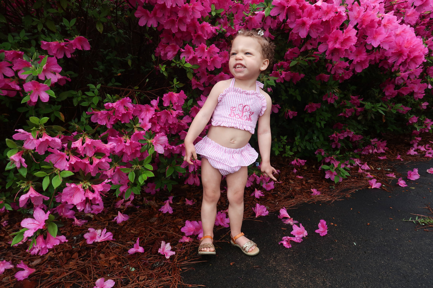 Seersucker Ruffle Embroidered Bikini