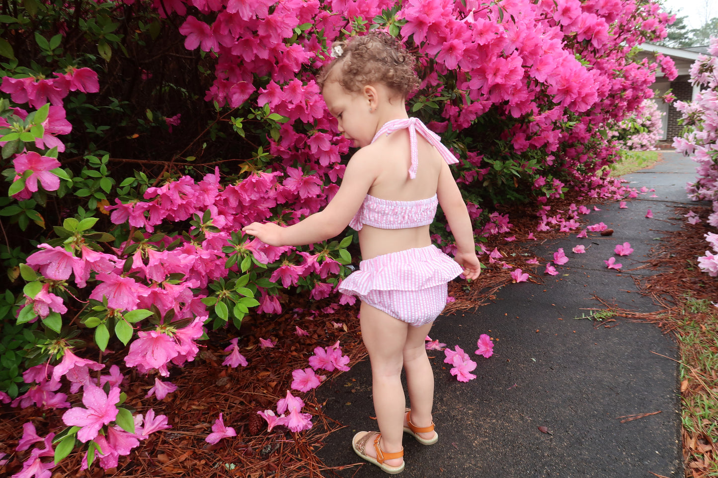 Seersucker Ruffle Embroidered Bikini
